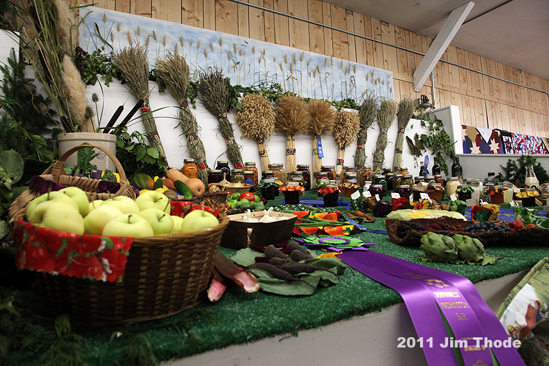 IMG_1195.jpg