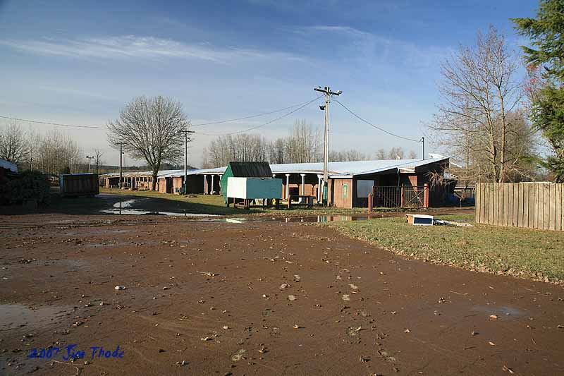 Horse Area