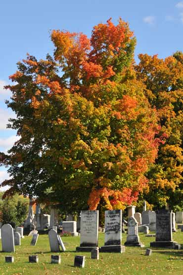 Cemetary Colors