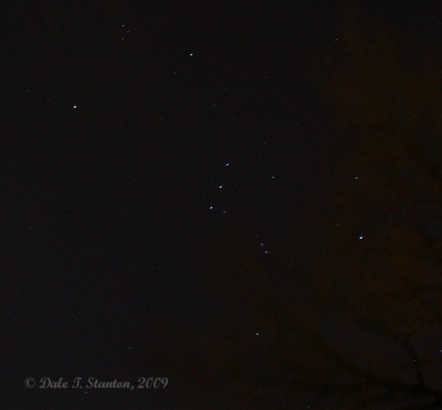 Orion - IMG_2722.JPG