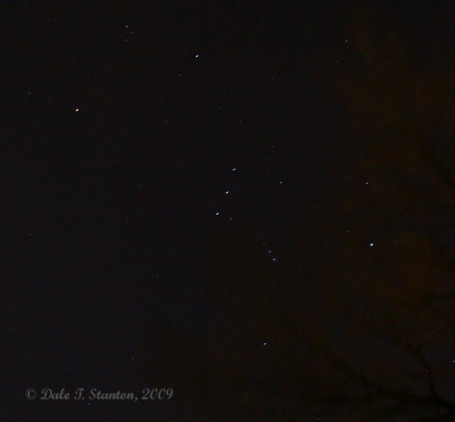 Orion - IMG_2722.JPG