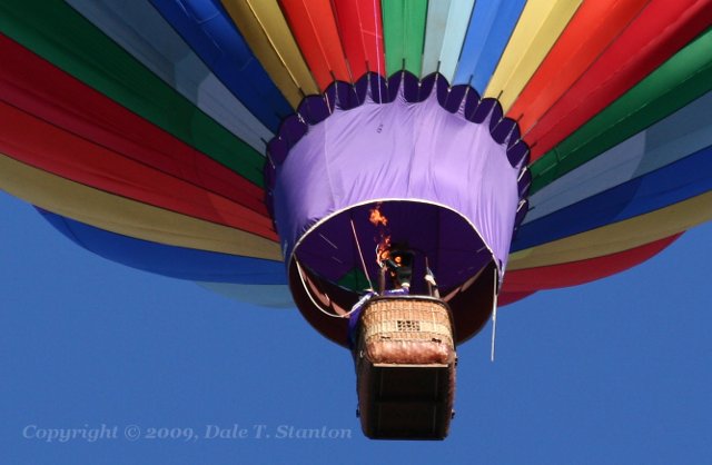 Baloon - IMG_6081.JPG