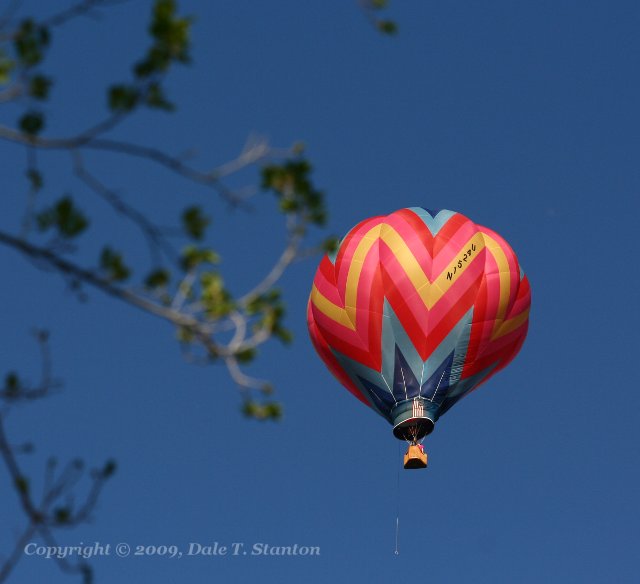 Balloon - IMG_6070.JPG