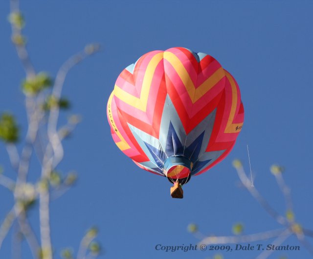 Balloon - IMG_6062.JPG