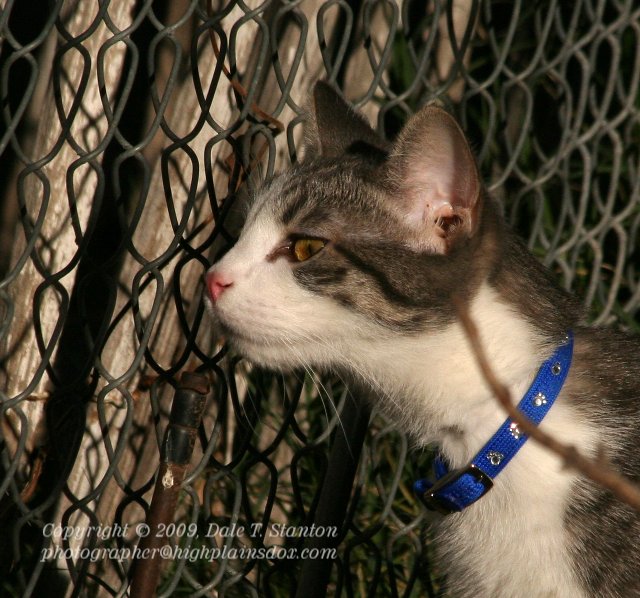 Is That You - IMG_6506.JPG