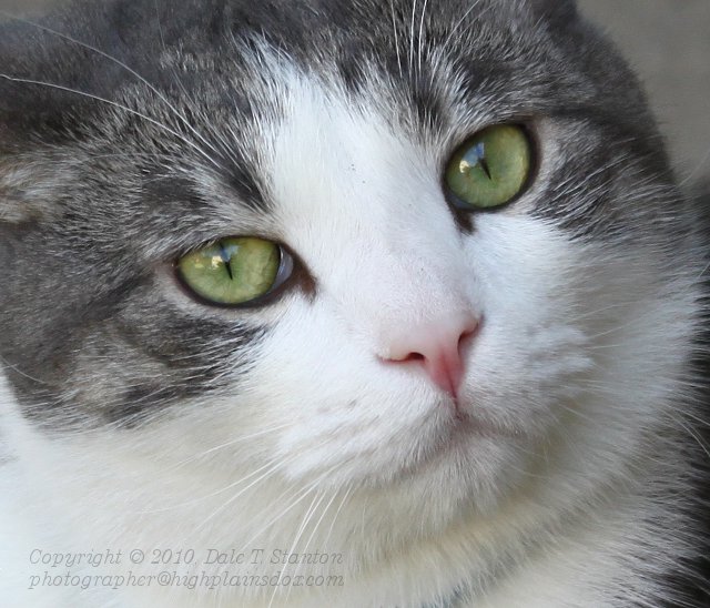 That Face! - IMG_5483.JPG