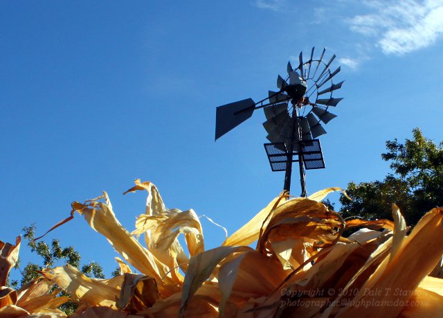 Harvest Time - IMG_8068.JPG