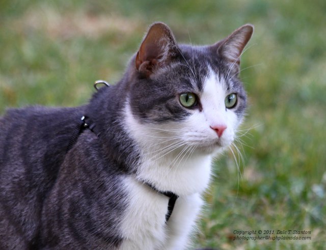 Buster - IMG_1873.JPG