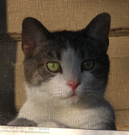 Getting Screened - IMG_2718.JPG