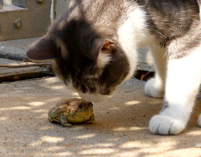 Bonding - IMG_3025.JPG