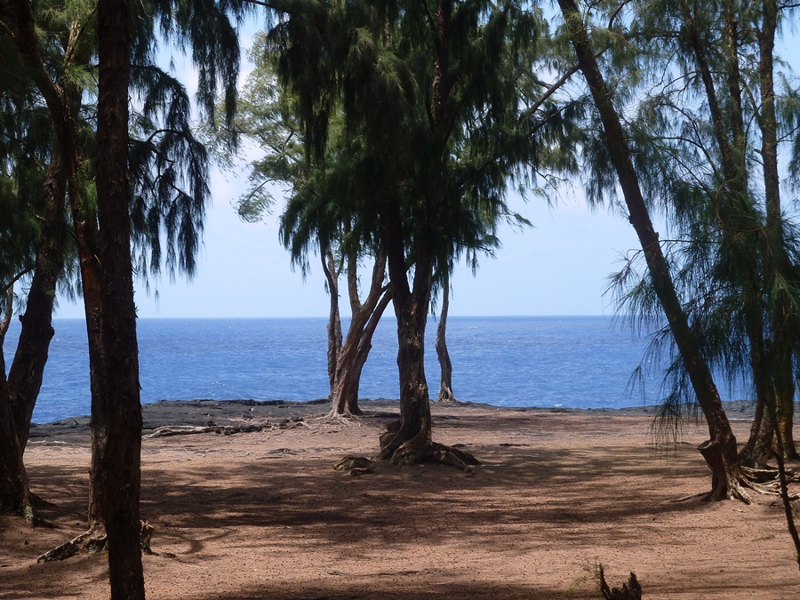 P1020866_2.JPG