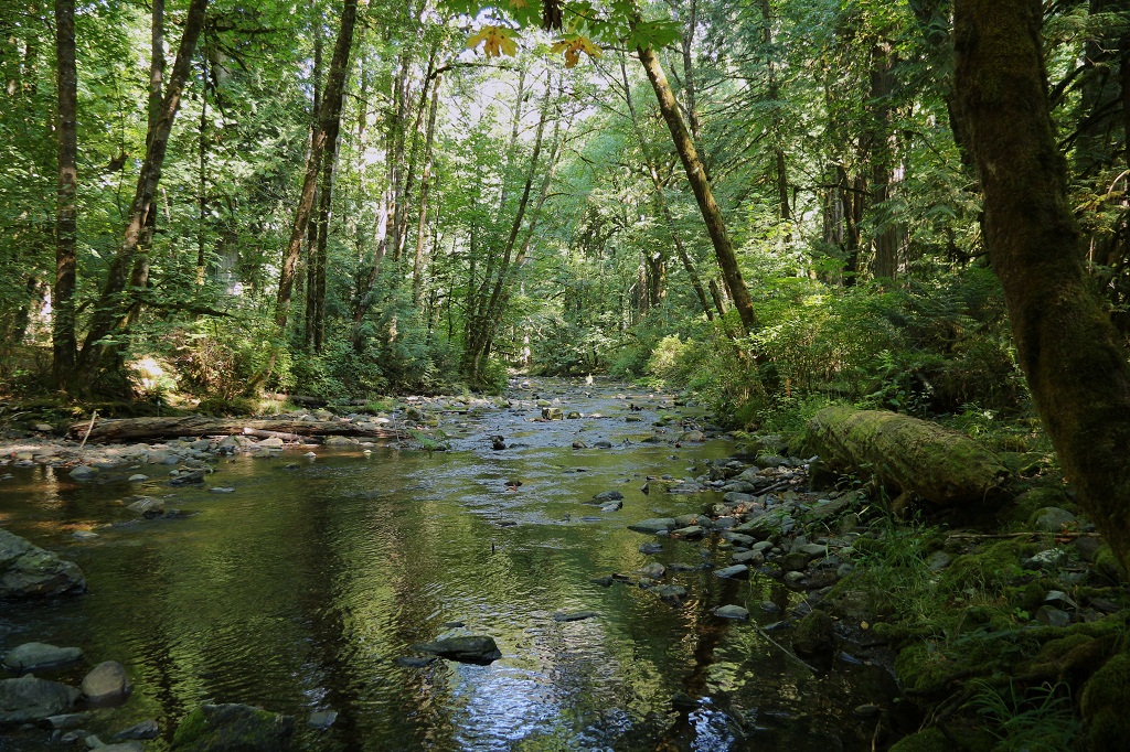 Goldstream