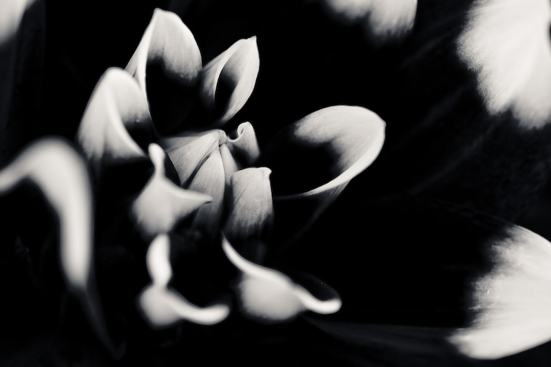 White flash