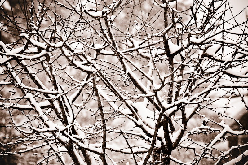 Tired winter