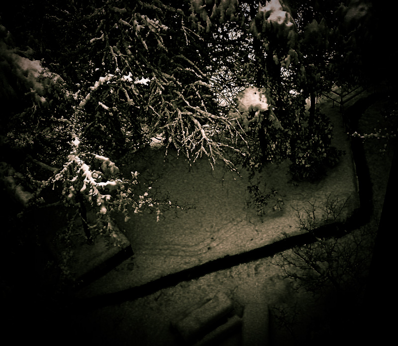Cold and lonely path in the snow