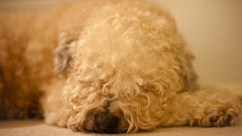 We all deserve a restful time