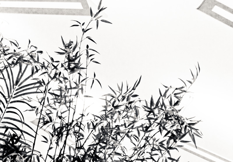 Foliage & fixtures