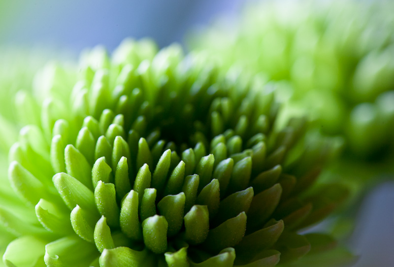 Cool green