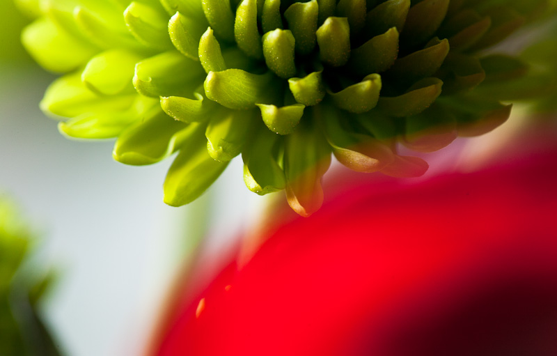Green over red