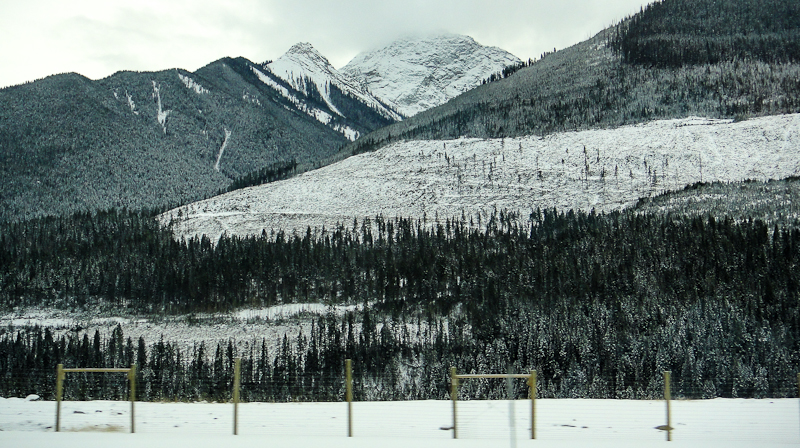 Clear cut belt, Yoho National Park, Canada