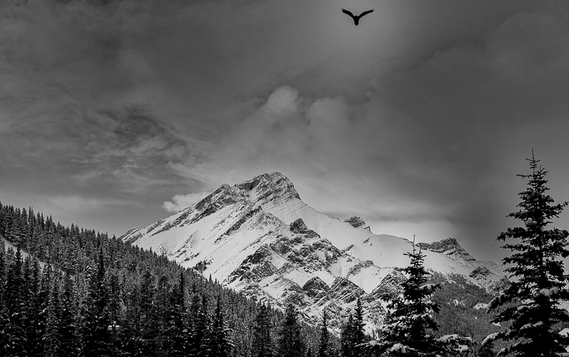 Mount Norquay Ski Area, Banff