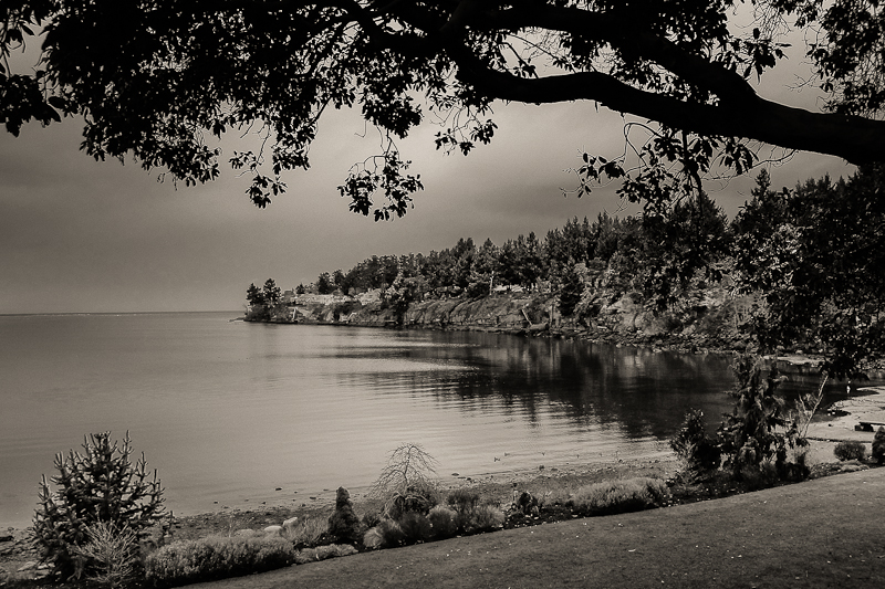 Craig Bay