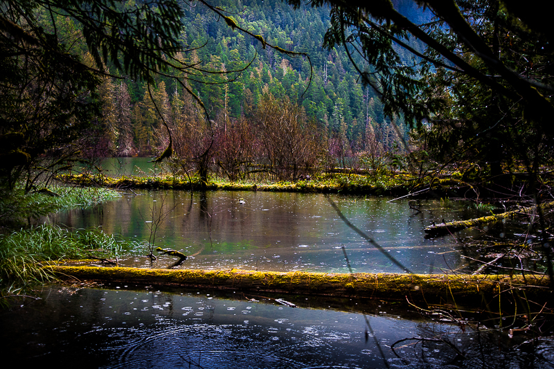 A peep of Cameron Lake from Cathedral Grove