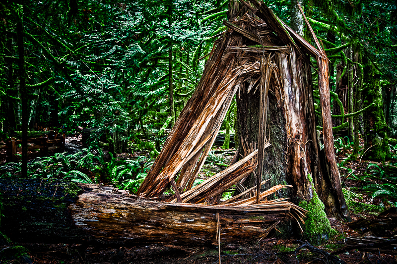 Natures way