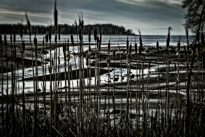 Craig Bay, Parksville, Vancouver Island