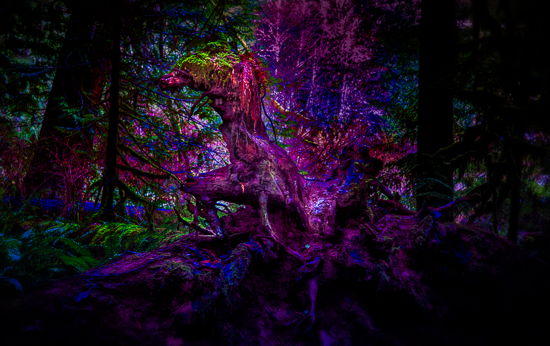Forest Frankenstein