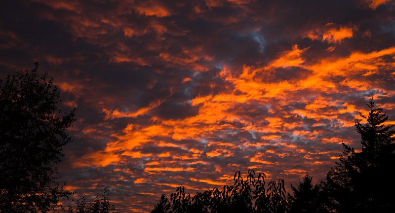 Sky Drama