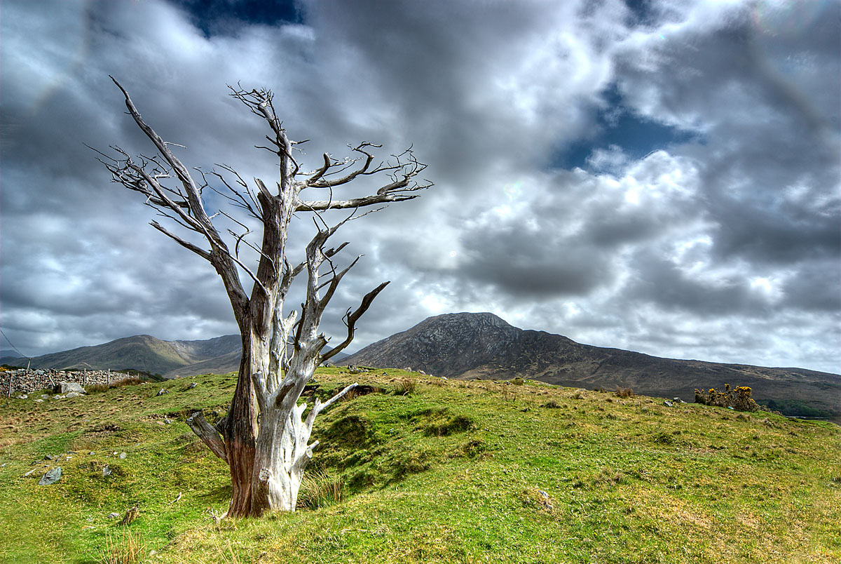 Connemara National Park