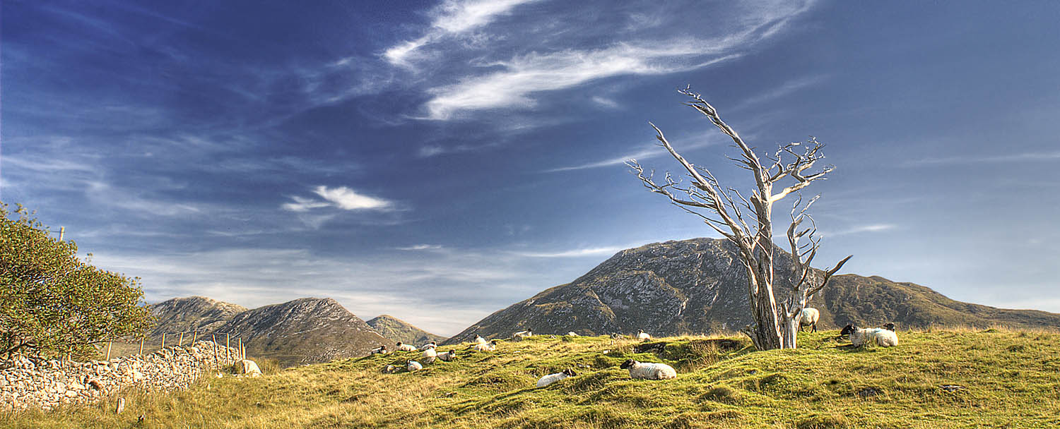 Connemara