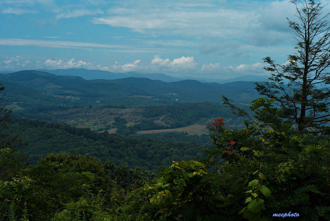 Western Carolina