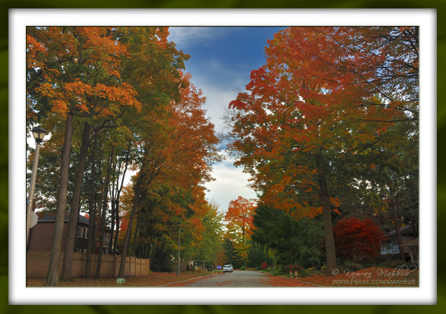 DSC_0315 b s.jpg
