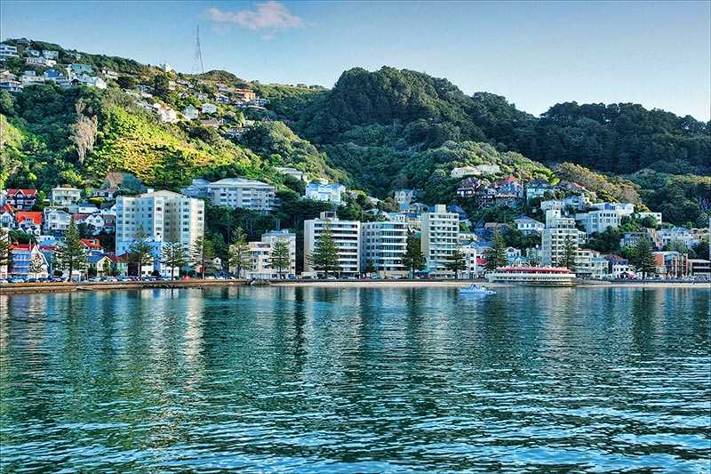 Oriental Bay in the Summertime