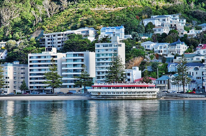Oriental Bay and Fisherman's Table