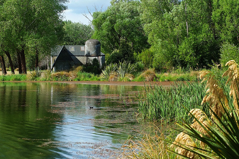 Ponds around the Groynes Area