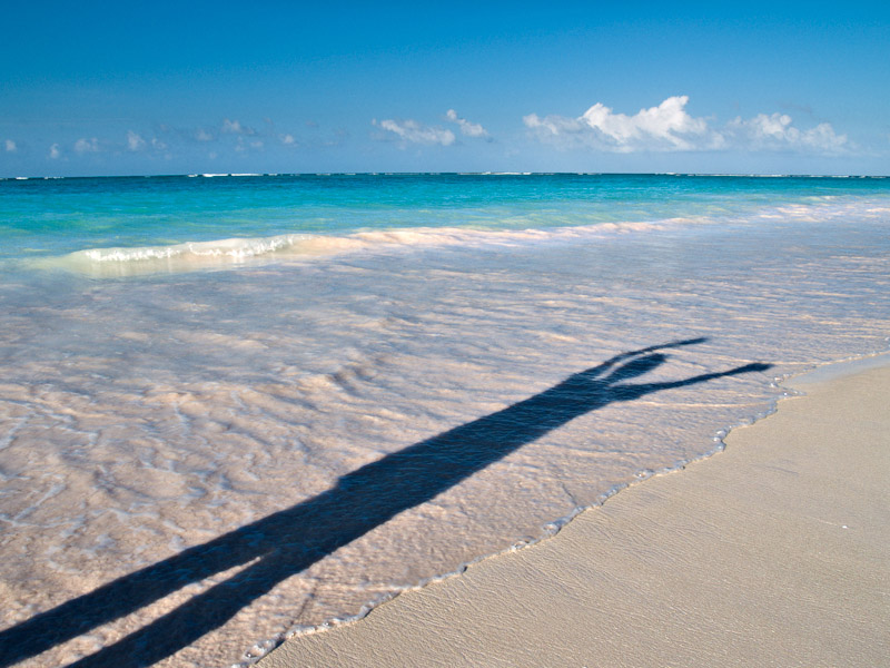<b><I>5th Place</I></B> <BR>Happy In Paradise <br><b>by: mn88
