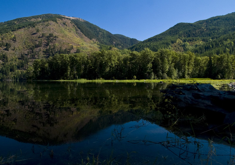 Sullivan Lake Reflection. By Lois A.