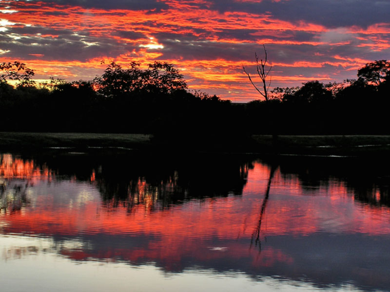 Red Sunrise.  By Francisco Villegas.