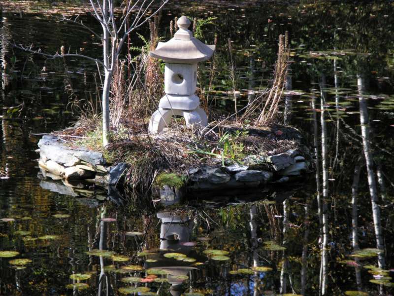 Small Pond. By Faranya.