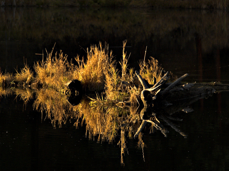 Reflections at Sunset. By Sharon Engstrom.