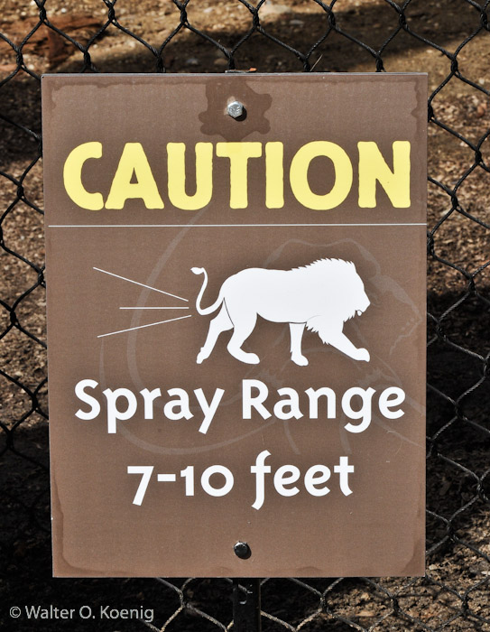 Caution Sign