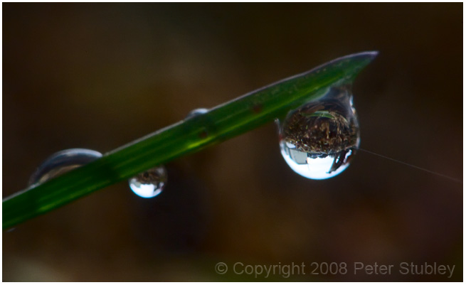 In the eye of the drop.