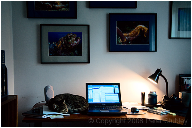 Working at home.