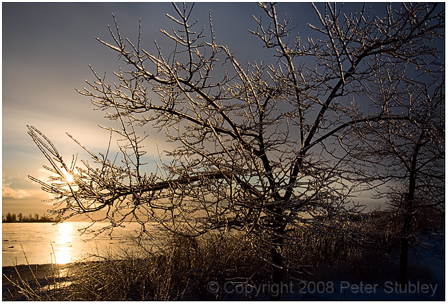 Sunset and icy trees.