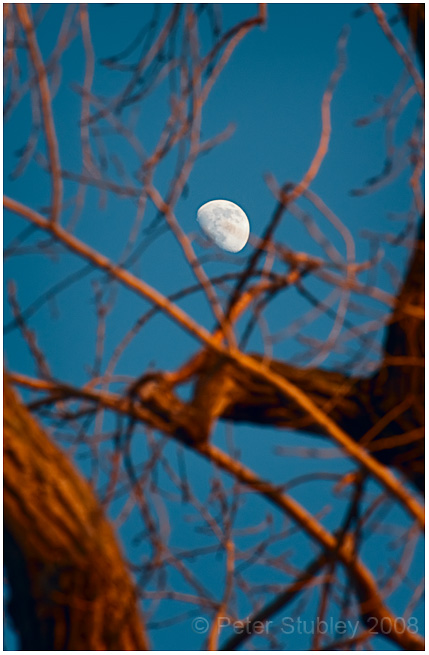 Framed moon.