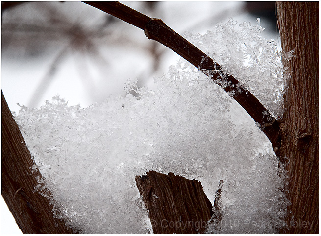 Snowflakes.
