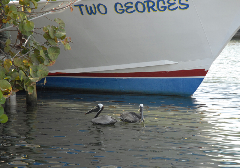Two Georges.JPG